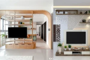 TV Design for Living Room 2D